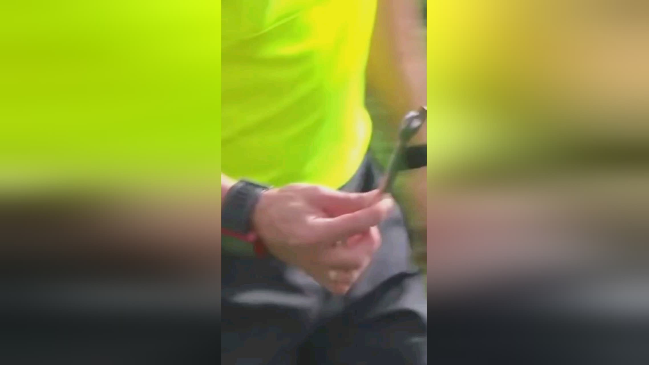 所以类