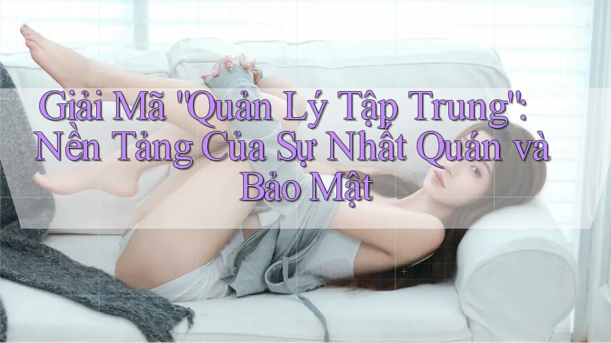 Giải Mã “Quản Lý Tập Trung”: Nền Tảng Của Sự Nhất Quán và Bảo Mật