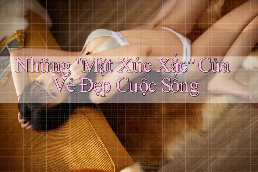Những “Mặt Xúc Xắc” Của Vẻ Đẹp Cuộc Sống