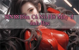 sin88  bắn cá nổ hũ máy đánh bạc