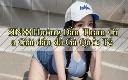 sin88  hướng dẫn tham gia giải đấu đá gà quốc tế