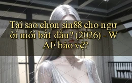 Tại sao chọn sin88 cho người mới bắt đầu (2026)   WAF bảo vệ