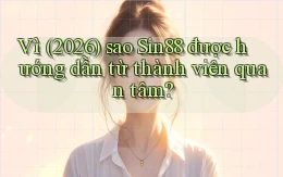 Vì (2026) sao Sin88 được hướng dẫn từ thành viên quan tâm
